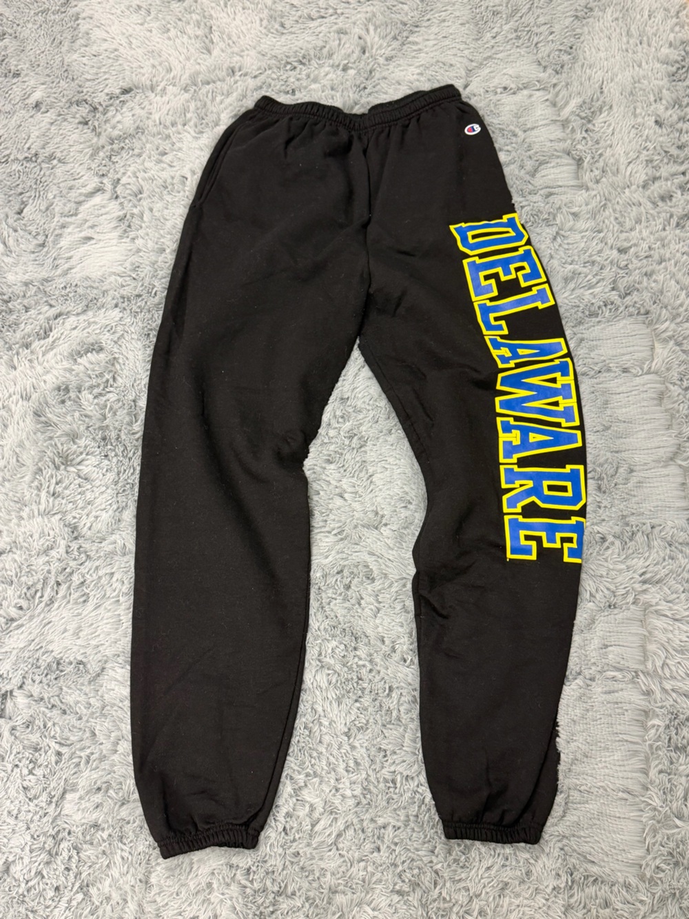 Champion-University of Delaware Sweatpants